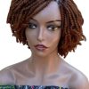 Kinky Twist Wig