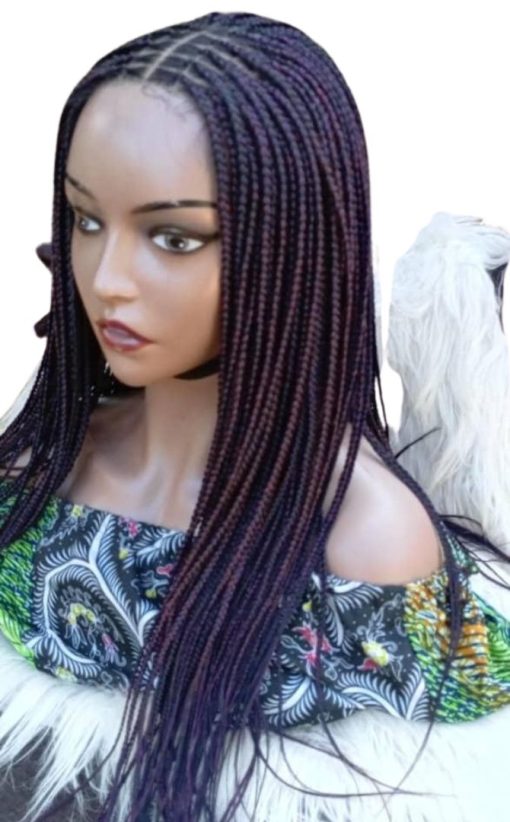 Mixed Color Knotless Braided Wig