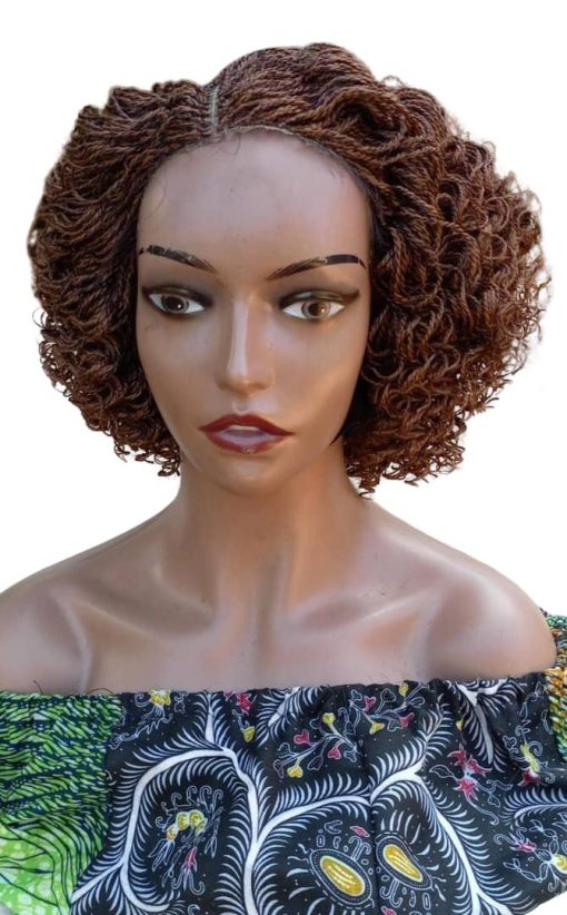 Stylish Braided Wig